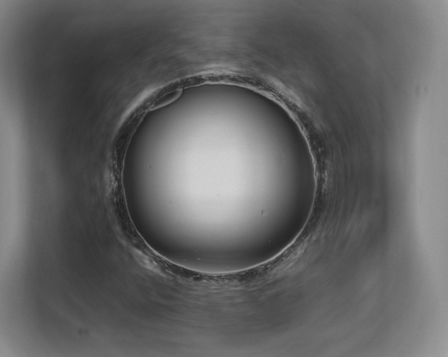 X0000112791400200908211104