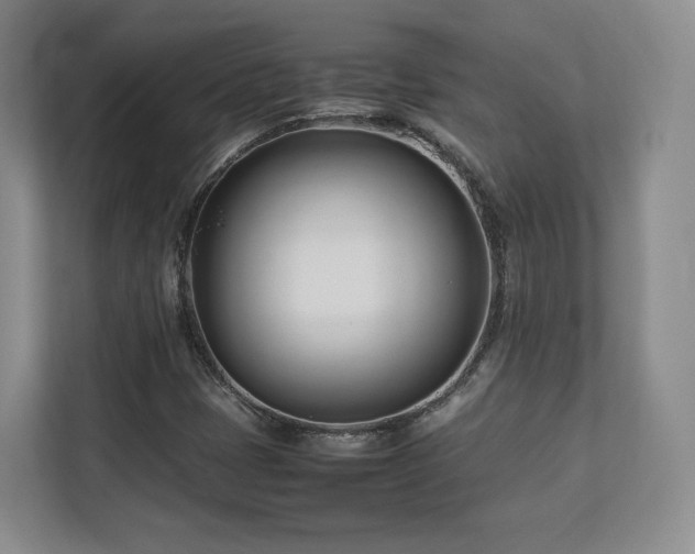 X0000112791401200908211104