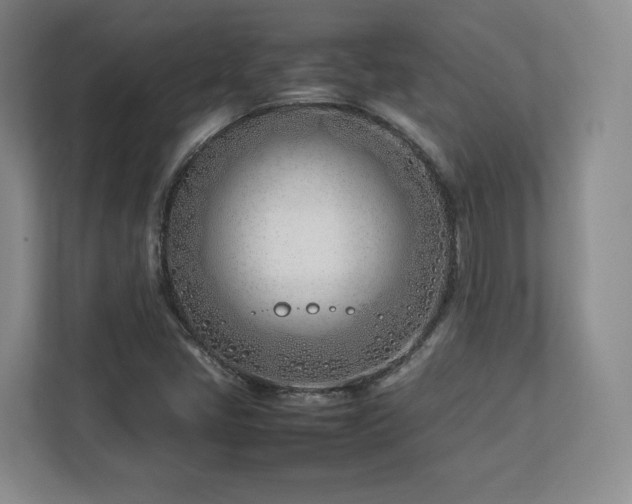 X0000112791405200908211104