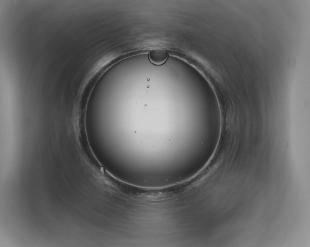 X0000112791410200908211104