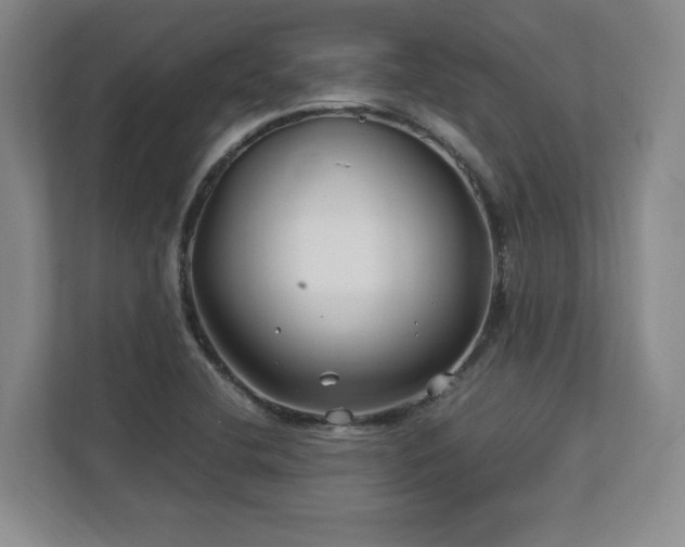 X0000112791412200908211104