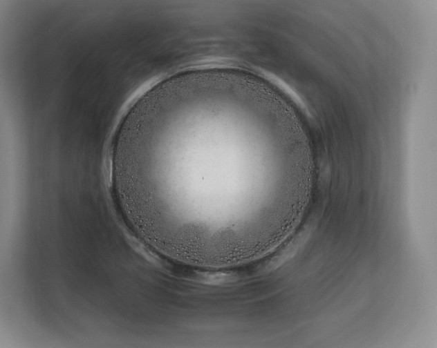 X0000112791413200908211104