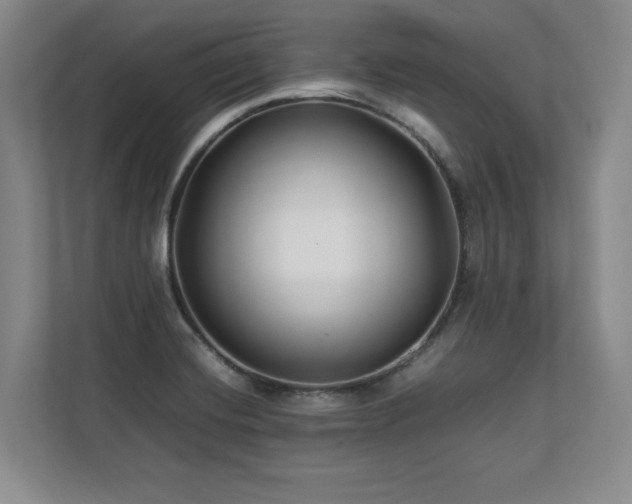 X0000112791420200908211104