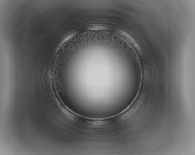 X0000112791425200908211104