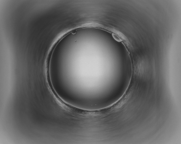 X0000112791430200908211104