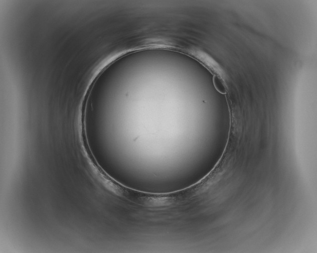 X0000112791431200908211104