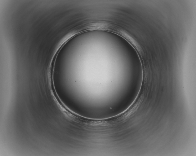 X0000112791434200908211104