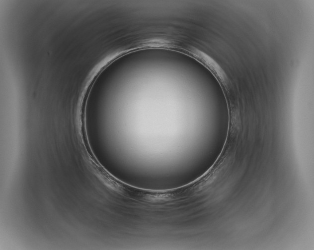 X0000112791435200908211104