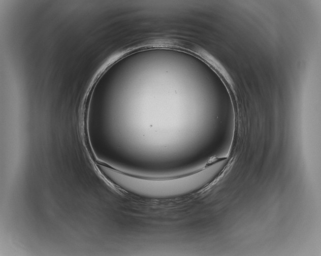 X0000112791437200908211104