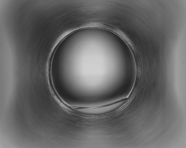 X0000112791438200908211104
