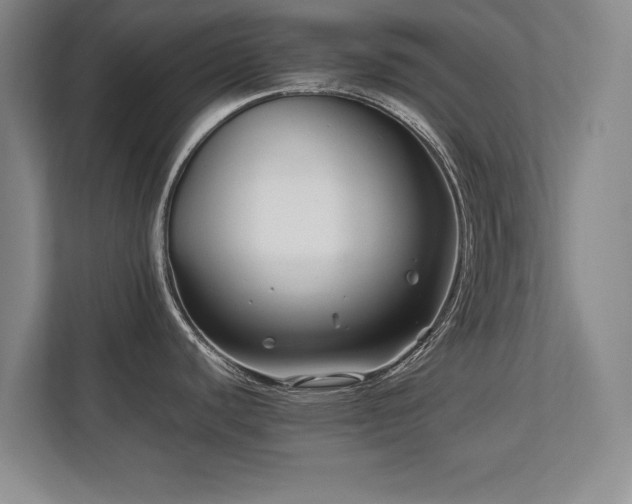 X0000112791440200908211104