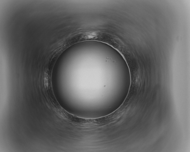 X0000112791442200908211104