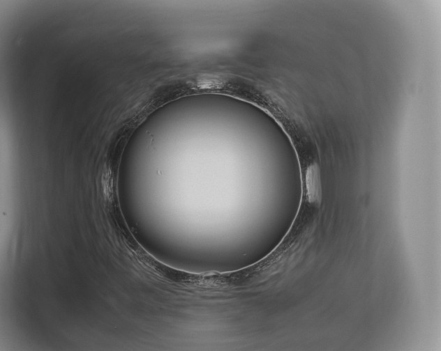 X0000112791443200908211104