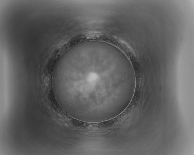 X0000112791445200908211104