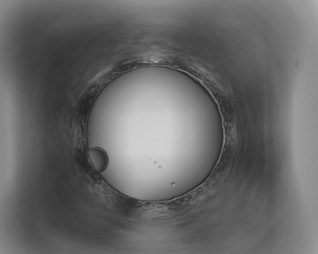 X0000112791446200908211104