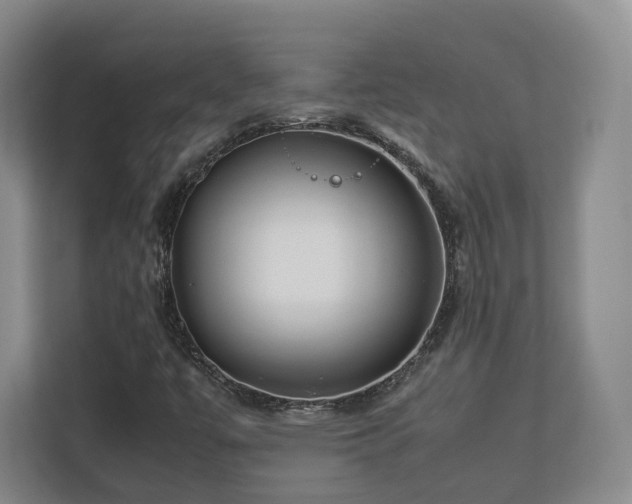 X0000112791447200908211104
