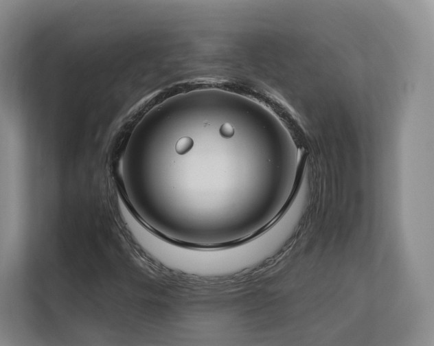 X0000112791448200908211104