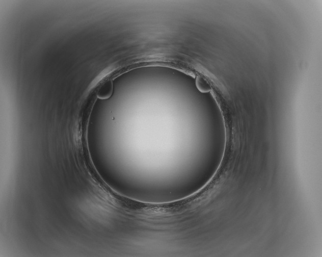 X0000112791450200908211104