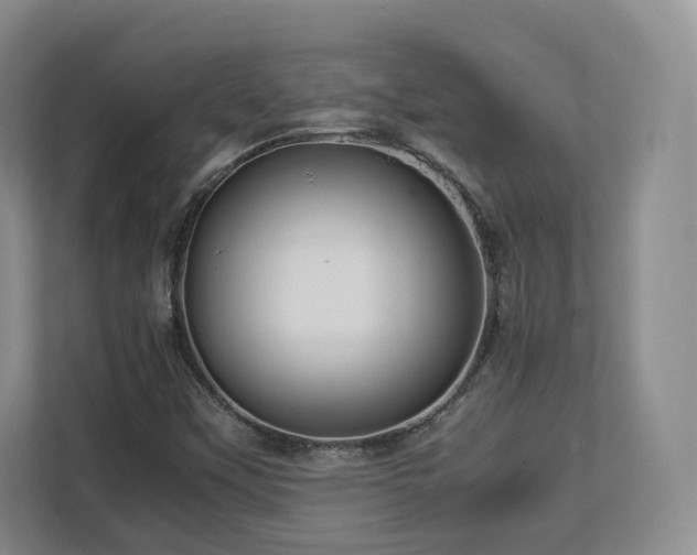 X0000112791451200908211104