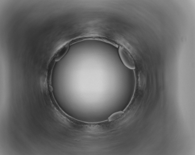 X0000112791452200908211104