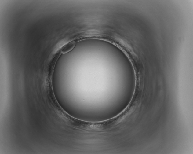 X0000112791453200908211104