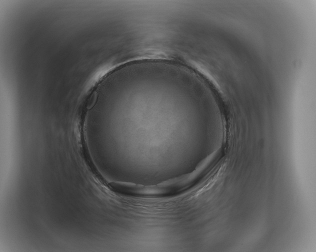X0000112791455200908211103