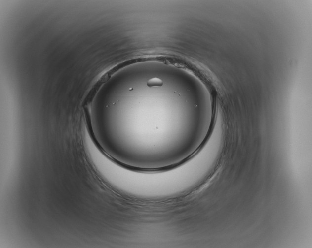 X0000112791457200908211103