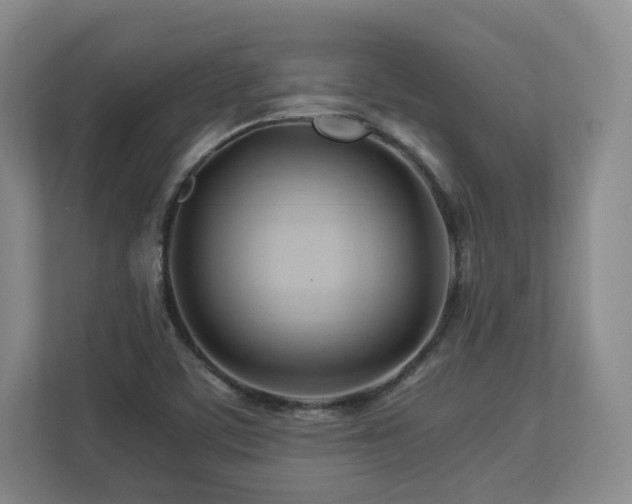 X0000112791459200908211103