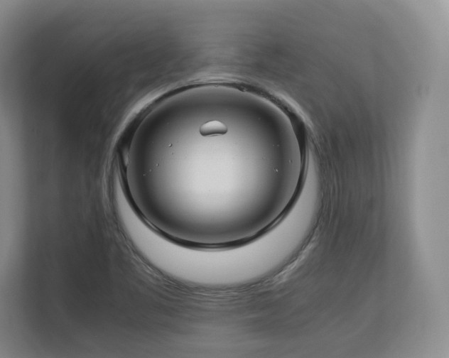 X0000112791461200908211103
