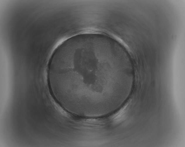X0000112791463200908211103