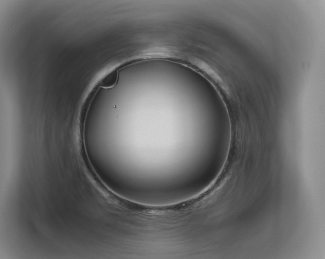X0000112791469200908211103