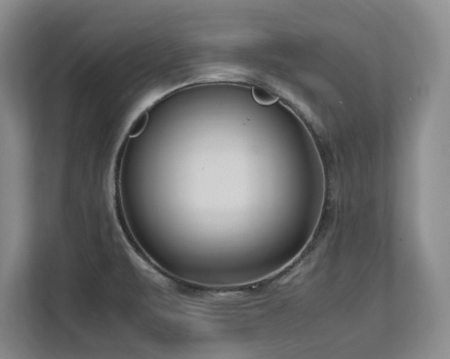 X0000112791471200908211103