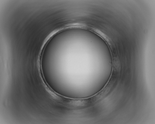 X0000112791474200908211103