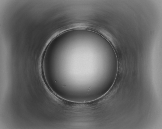 X0000112791475200908211103