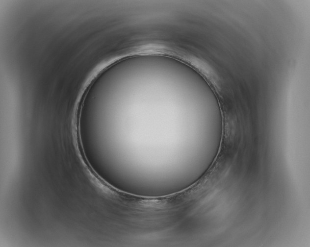 X0000112791478200908211103