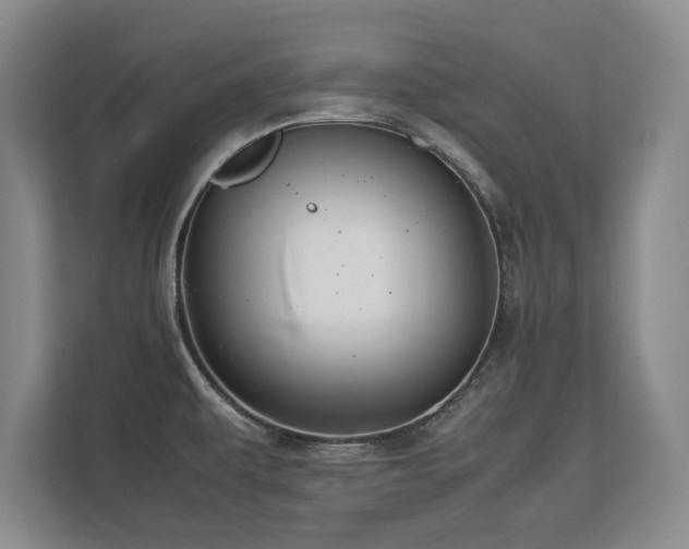 X0000112791479200908211103