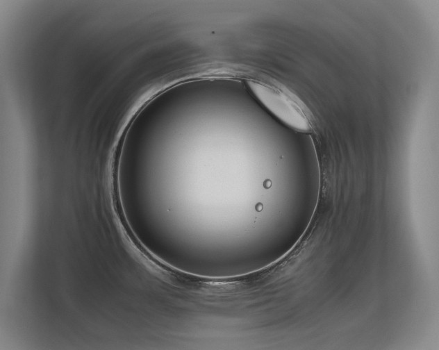 X0000112791483200908211103
