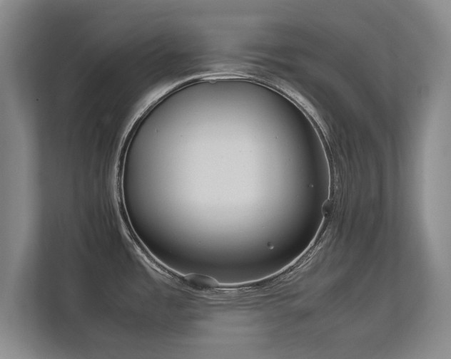 X0000112791485200908211103