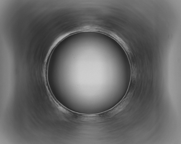 X0000112791486200908211103