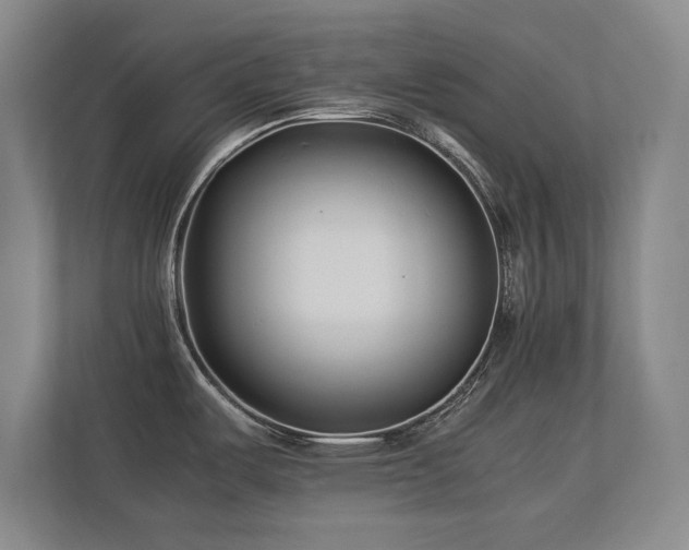 X0000112791487200908211103