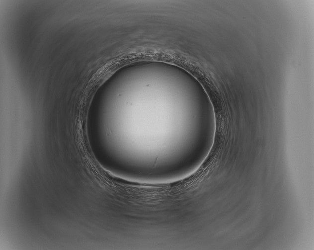 X0000112791489200908211102