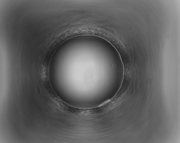 X0000112791490200908211102