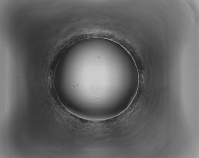 X0000112791493200908211102