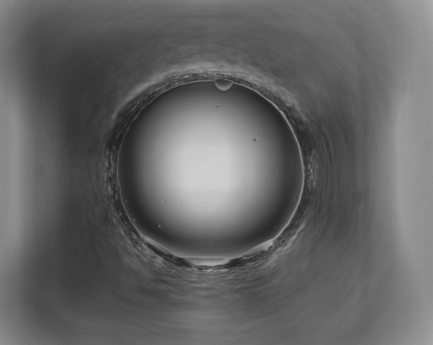 X0000112791494200908211103