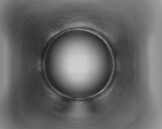 X0000112791497200908211103