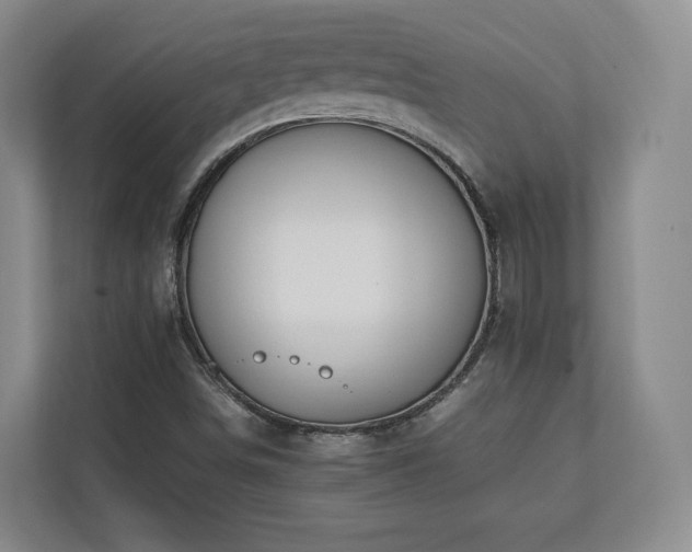 X0000112791498200908211103