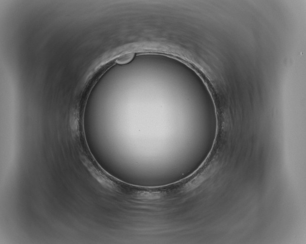 X0000112791499200908211103