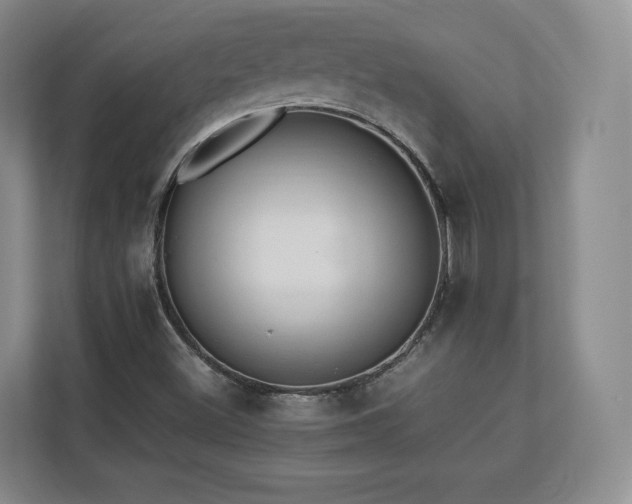 X0000112791500200908211103
