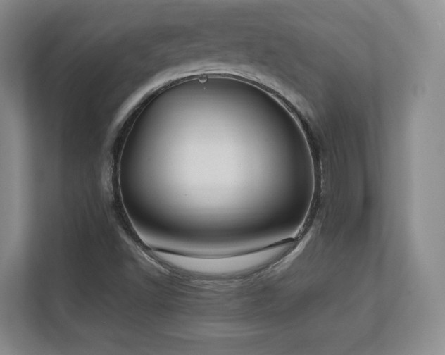 X0000112791502200908211103
