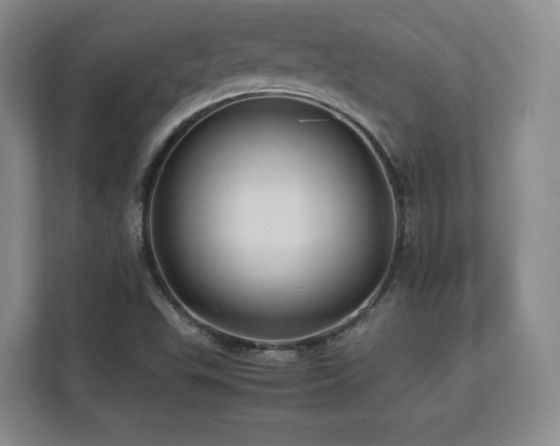 X0000112791503200908211103